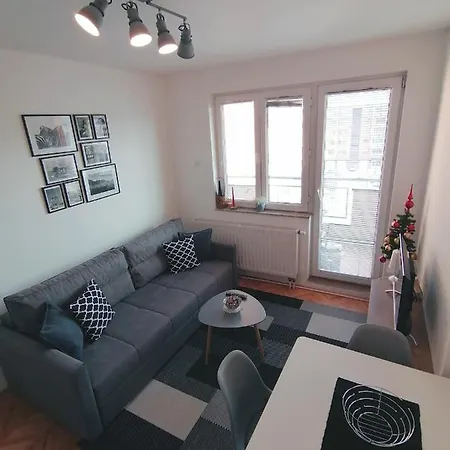 Apartment Igor Lukavica