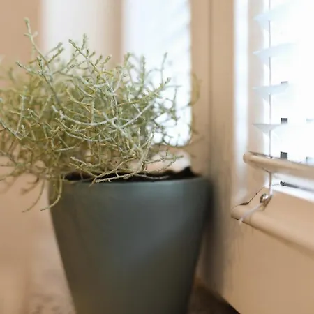 Apartment Igor *